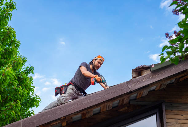 Best Gutter Installation and Repair  in Mount Vernon, IL